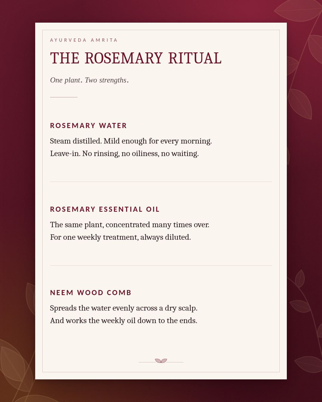 The Rosemary Ritual — Rosemary Water & Essential Oil Hair Gift Set