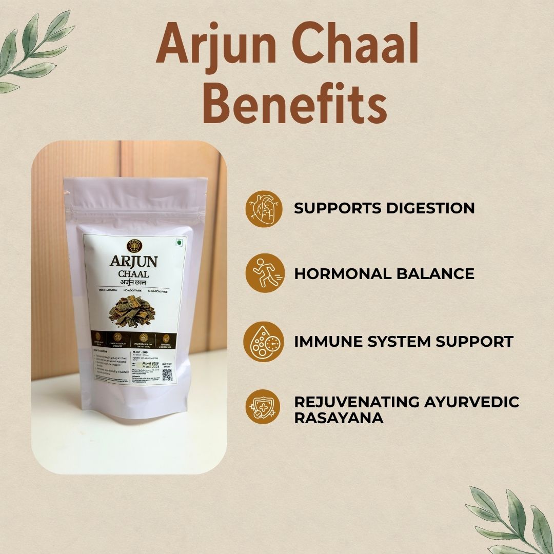 Pure Arjun Chhal Powder 100g — Arjuna Bark