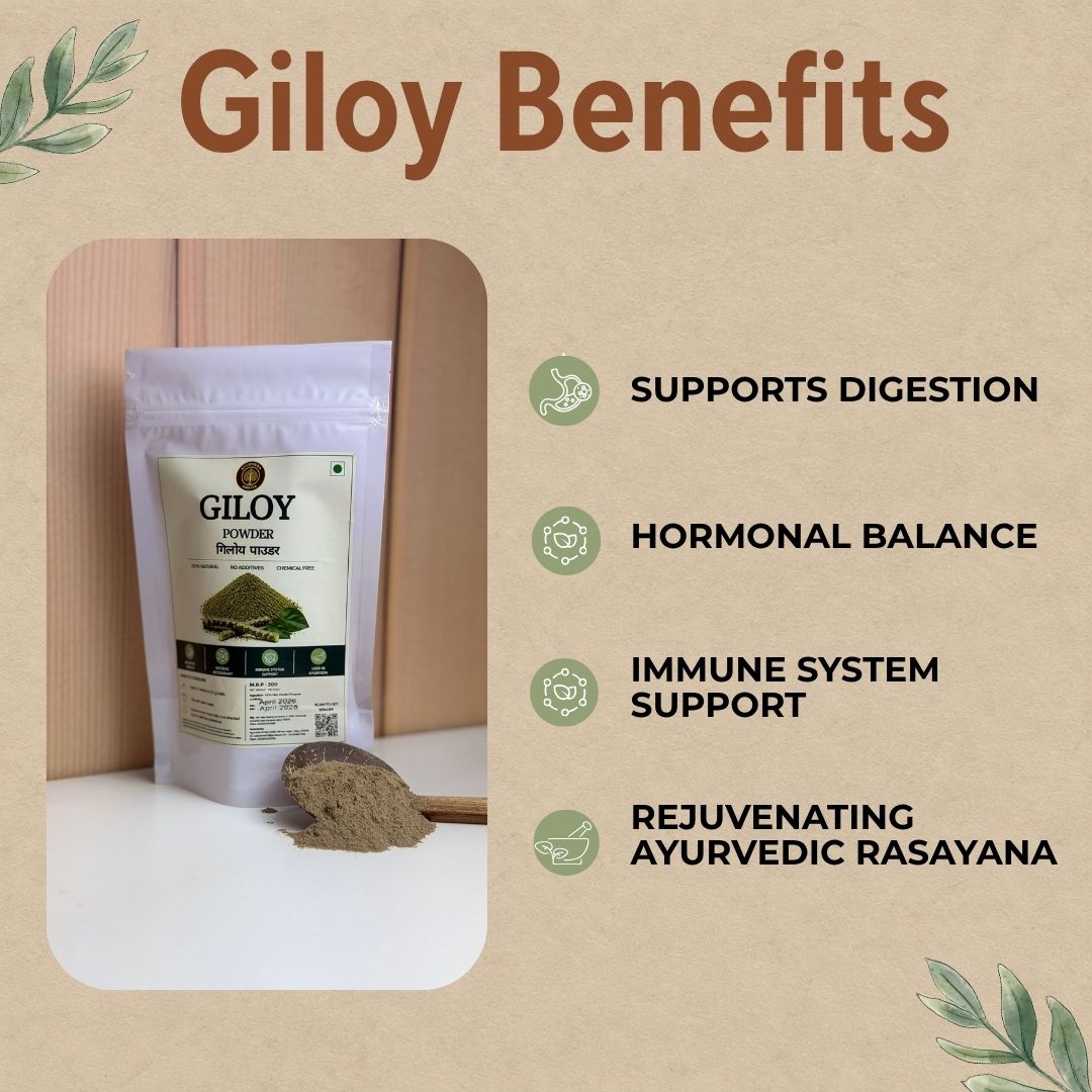 Pure Giloy Powder 100g — Guduchi Stem Powder